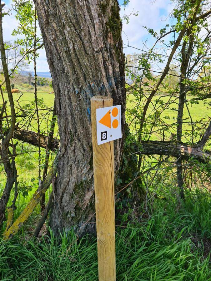 L'Eléphant Heureux in Bétête, Région de Guéret