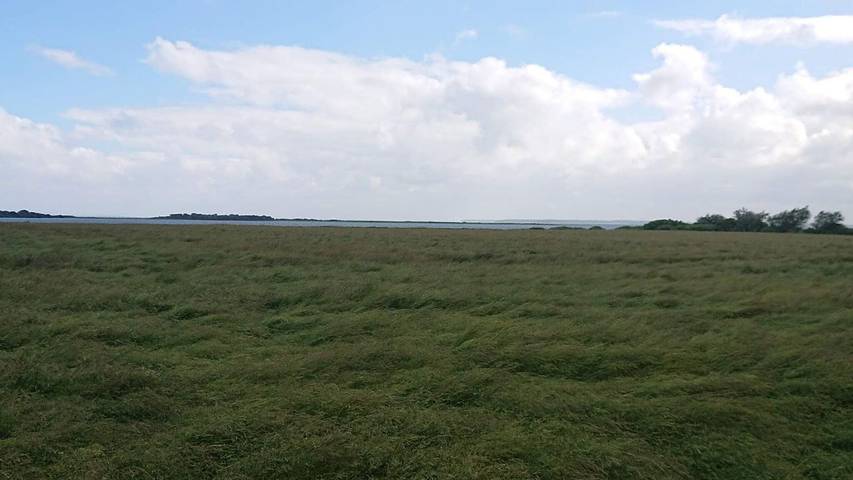 Ferienhaus mit Meerblick für 7 Personen, mit Garten, mit Haustier in Lolland-Falster - 2