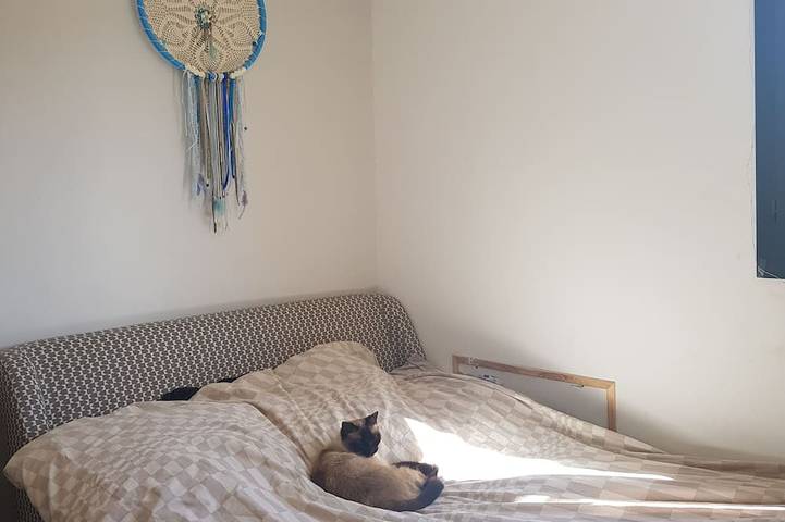 Location de vacances pour 8 personnes, avec jardin et jacuzzi à Saint-Gély-du-Fesc - 3