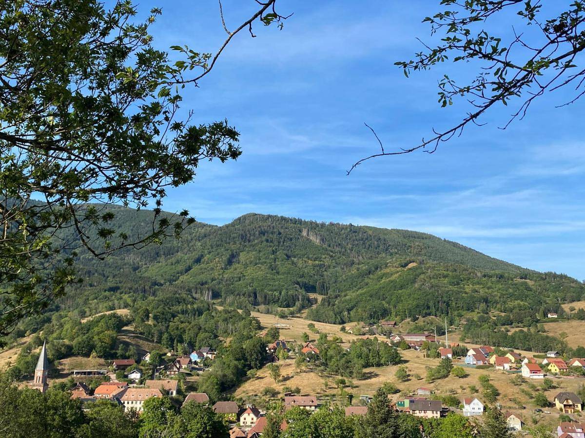 Appartement entier, One-Bedroom Apartment in Steige, Région de Sélestat-Erstein