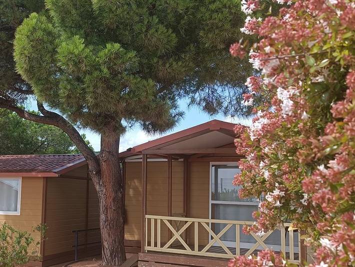 Ferienhaus für 5 Personen, mit Kinderpool in Calella - 3