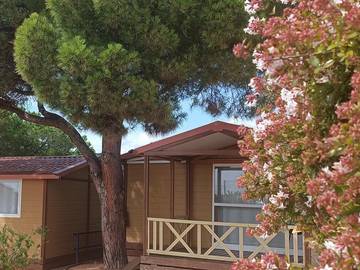 Bungalow para 5 Personas en Calella, Provincia de Barcelona, Foto 2