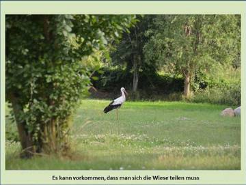 Ferienwohnung für 3 Personen in Borrentin, Kummerower See, Bild 4