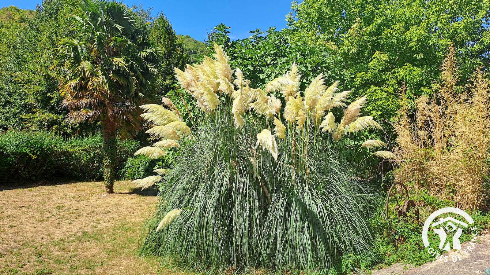 Gîte for 6 Guests in Ambialet, South-west France