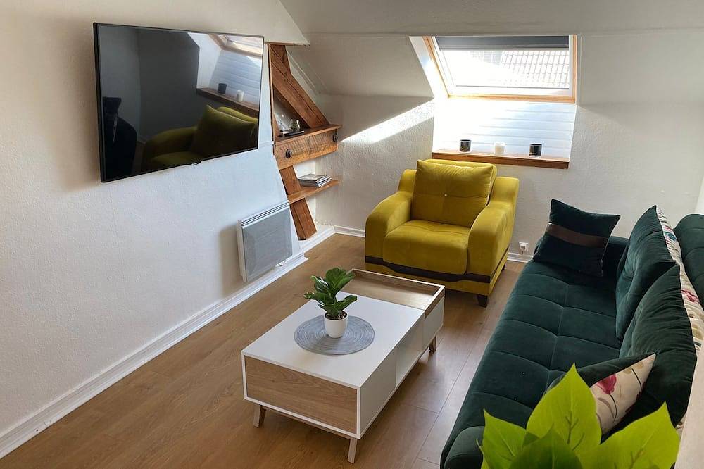 Apartamento entero, Charming T3 for 4 to 6 people in Belfort, Territorio de Belfort
