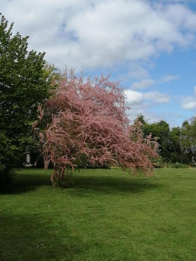 Chambre d’hôte pour 2 personnes, avec jardin dans le Calvados
