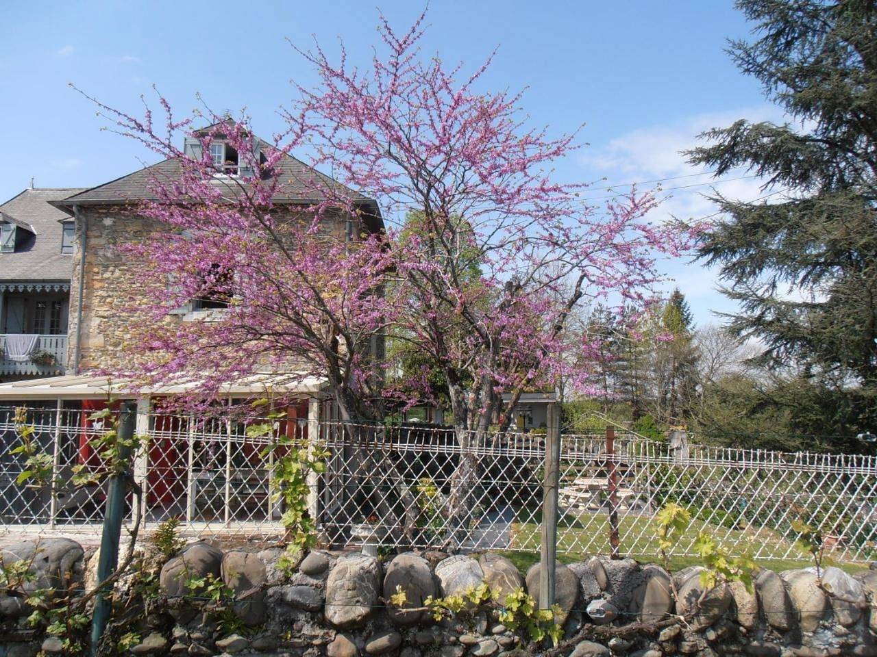 Two-Bedroom Cottage (5 Adults) in Oloron-Sainte-Marie, Béarn