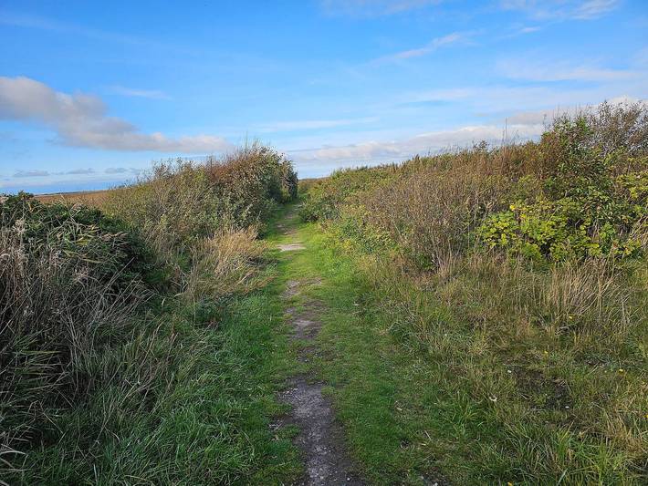 Ferienhaus für 10 Personen, mit Whirlpool und Terrasse sowie Sauna und Garten, mit Haustier in Kelstrup Strand - 2