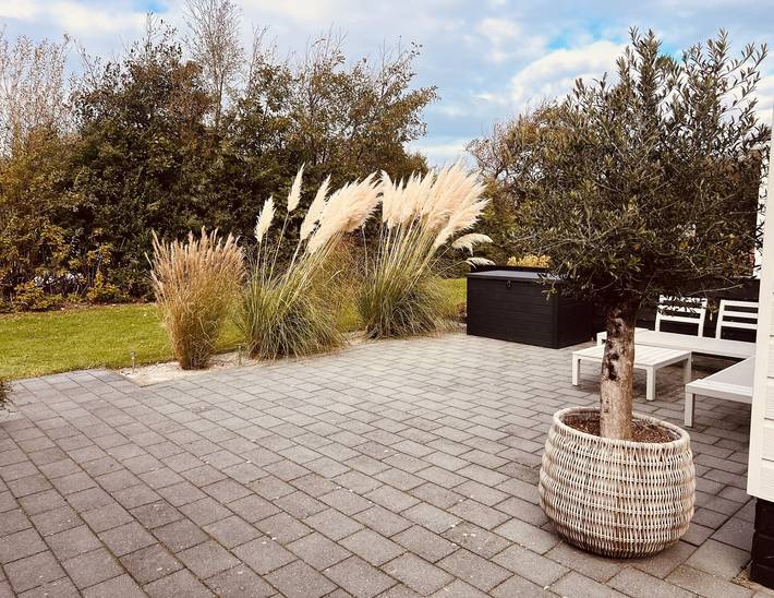 Ferienhaus für 4 Personen, mit Balkon/Terrasse und Terrasse in Petten - 3