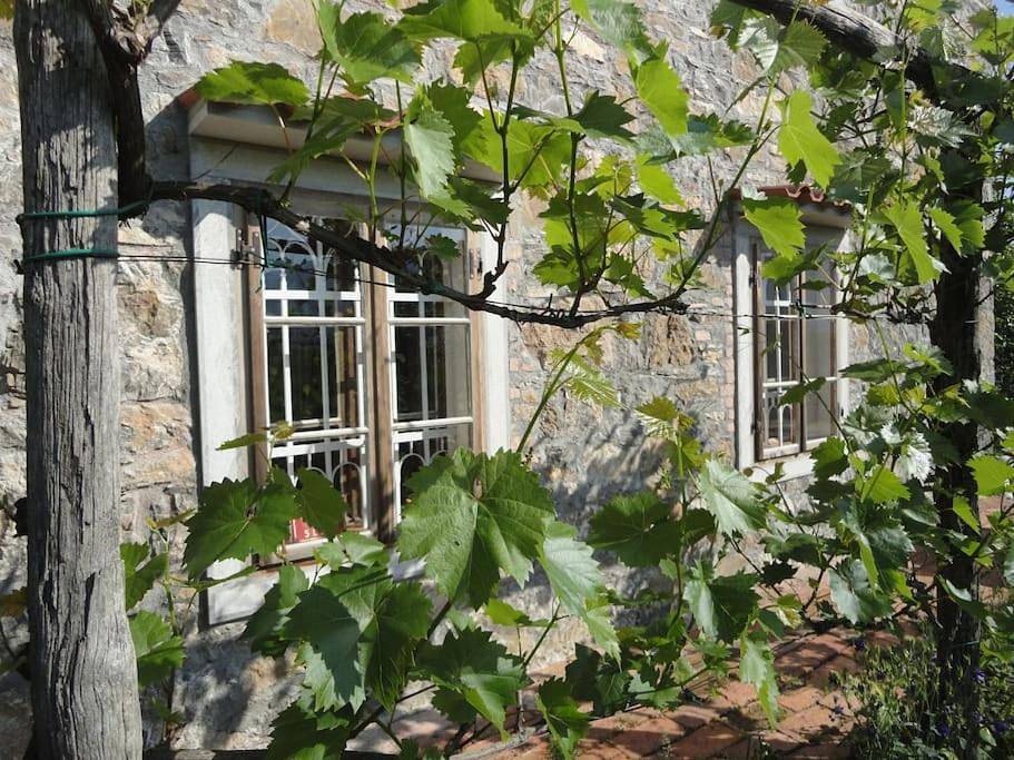 A lovely house in Vipava valley in Vipava, Slowenien