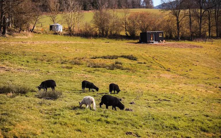 Appartement de vacances pour 2 personnes, avec vue dans la Loire - 2