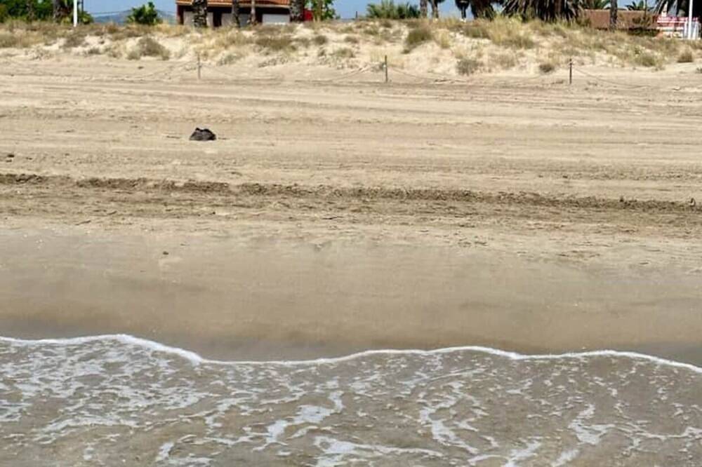 Villa Grao Benicasim Rif 026 in Castellon de la Plana, Costa dell'Azahar