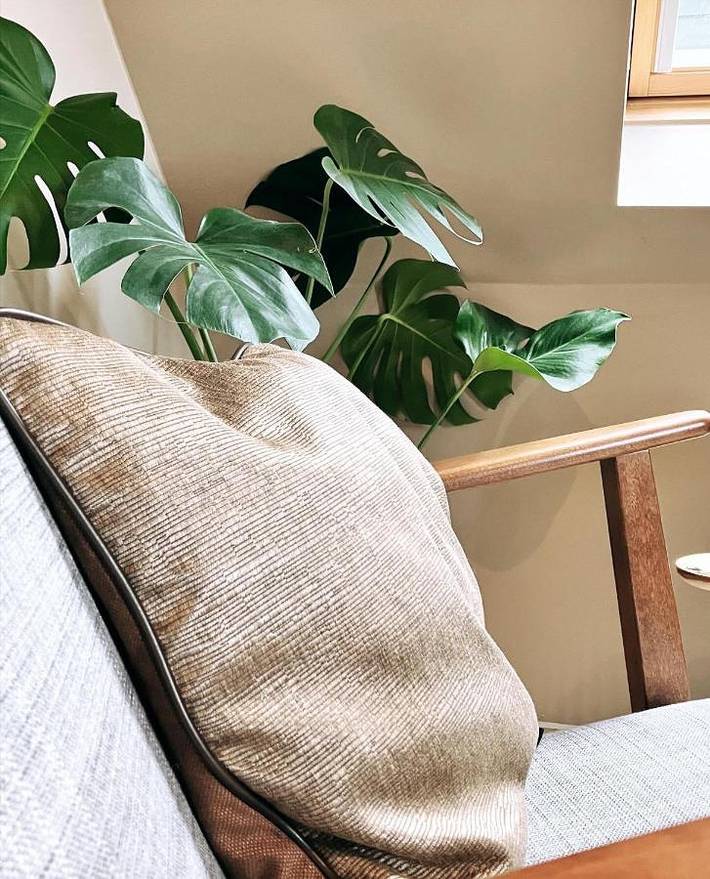 Location de vacances pour 2 personnes, avec vue à Termonde - 4