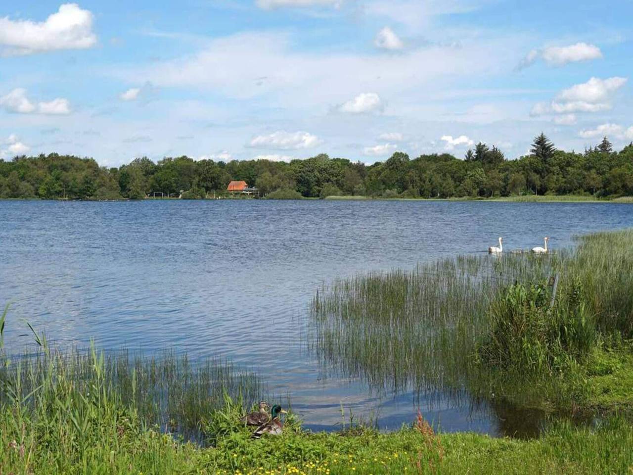 6 Personen Ferienhaus in Ansager-By Traum in Varde