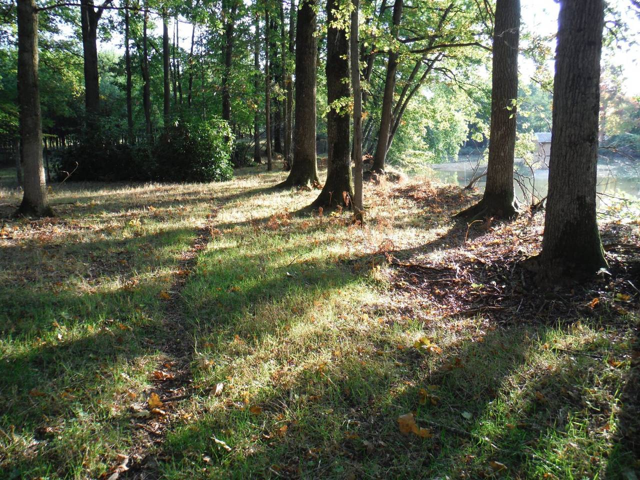 La parenthèse Cabane flottante dans 7 hectares de nature in Cré-sur-Loir, Vallée de la Loire