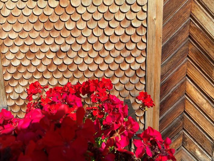 Ferienwohnung für 4 Personen, mit Garten und Ausblick in Bezau - 3