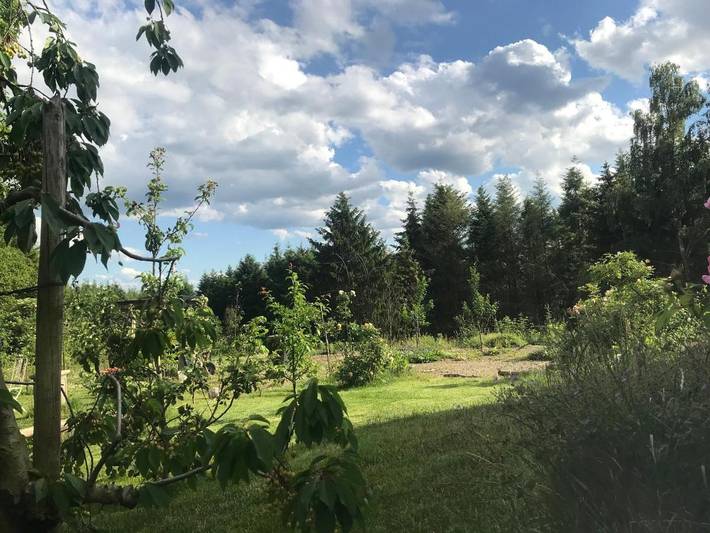 Gîte pour 8 personnes, avec vue et jardin, animaux acceptés à Langenfeld - 3