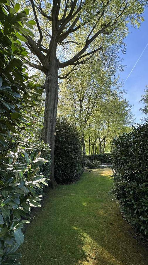 Chambre d’hôte pour 2 personnes, avec jardin à Overijse - 3