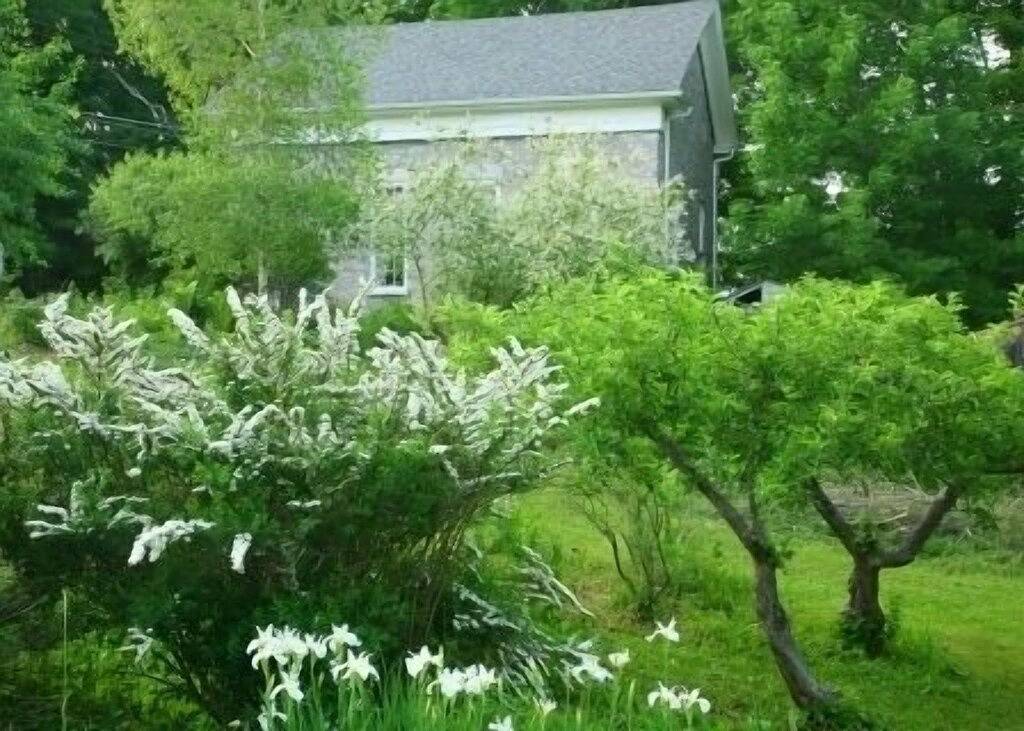 Charmantes historisches Häuschen an einer malerischen Straße zum Mt. Greylock in Lanesborough, Berkshire County