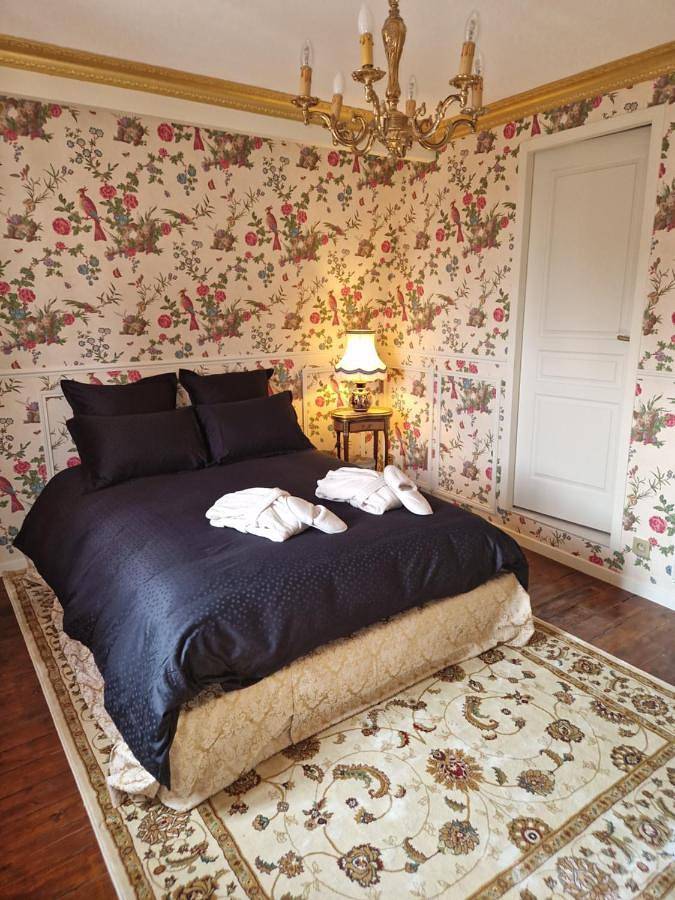 Maison d’hôte pour 8 personnes, avec sauna et jacuzzi ainsi que terrasse et jardin dans Loiret - 2