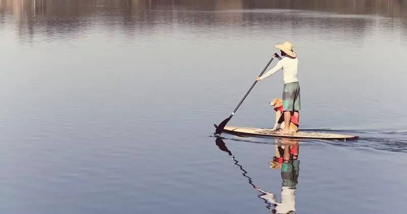 Bungalow für 4 Personen, mit Terrasse, mit Haustier in der Auvergne - 4