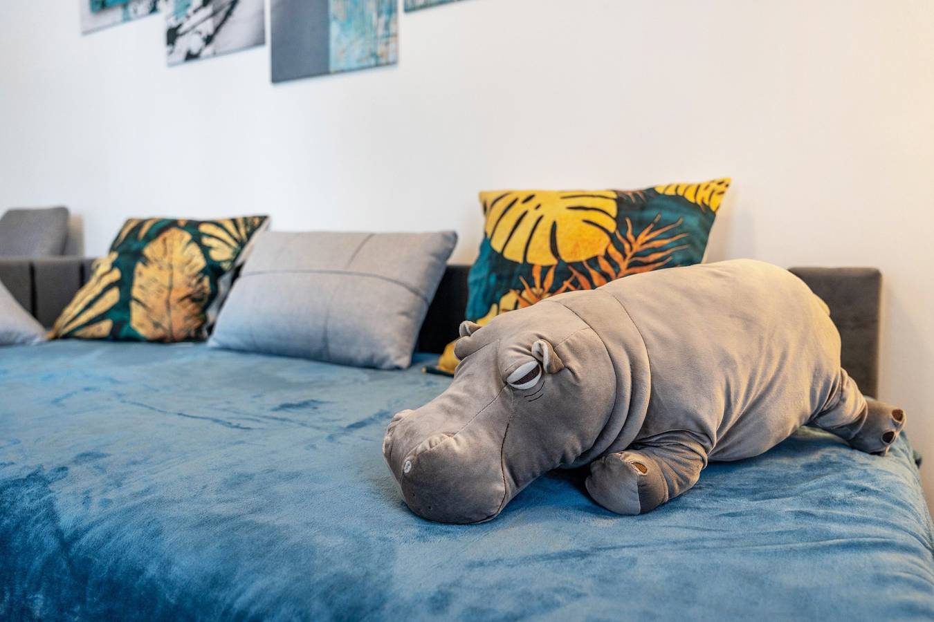 Ganze Wohnung, Gemütliche Ferienwohnung murihaus 2 mit Balkon & Parkplatz in Aue, Erzgebirge