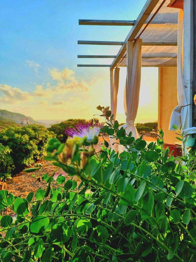 Chambre d’hôte pour 2 personnes, avec vue et jardin à Sassari - 3