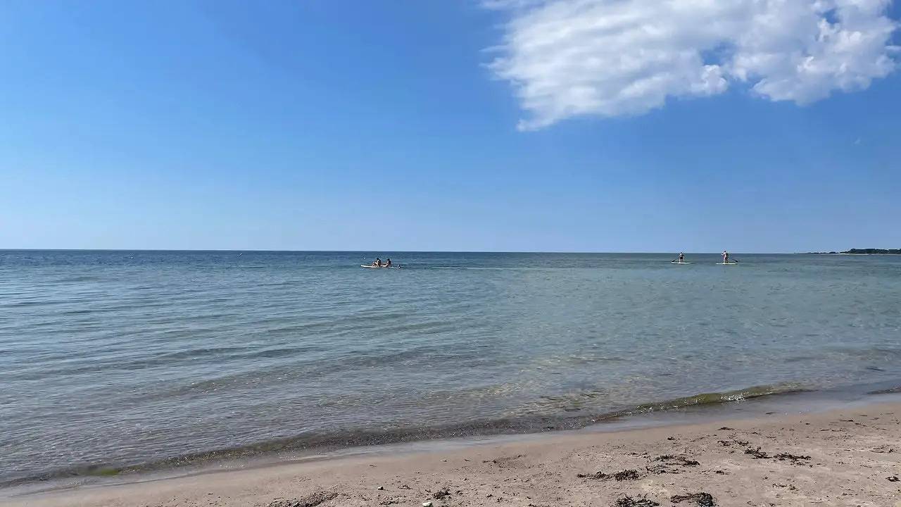 Ferienhaus für 6 Personen (55 m²) in Gotlands Tofta in Tofta, Gotland