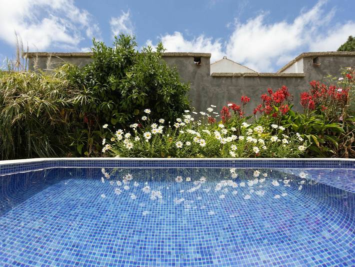 Casa rural para 3 personas, con jardín en El Rosario - 4