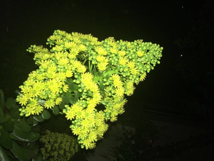 Ferienhaus für 2 Personen, mit Garten - 1