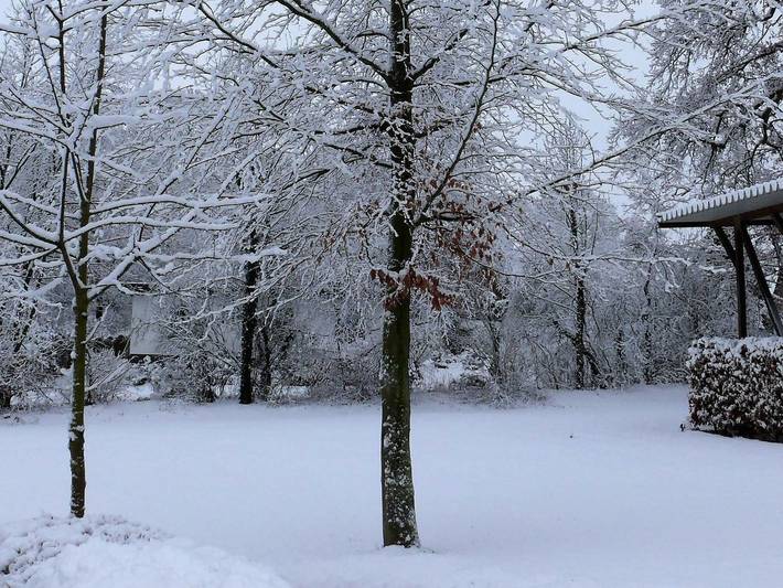 Ferienwohnung für 4 Personen, mit Garten, kinderfreundlich in Hamburg Umland - 2