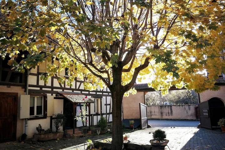 Location de vacances pour 4 personnes, avec jardin à Berstett - 4