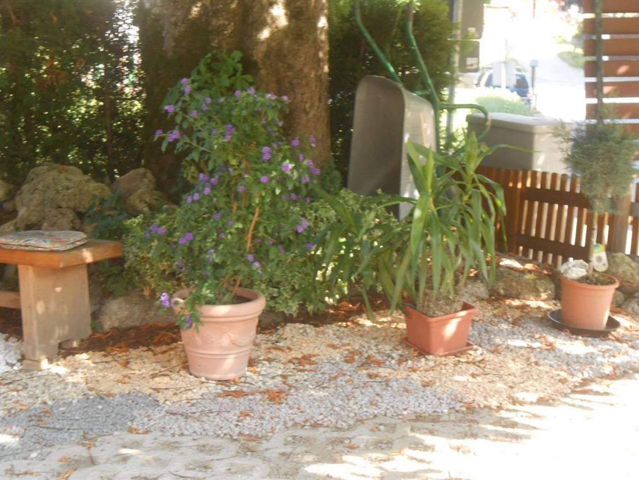 Ganze Ferienwohnung, Haus Elfriede Schmid - Ferienwohnung/Appartement in Bad Bayersoien, Bayerische Alpen