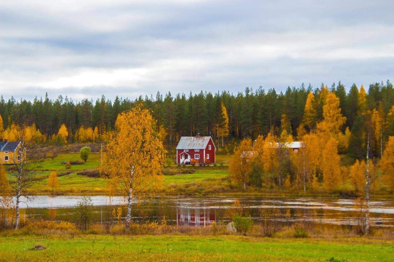 Cozy Home with Lake view-free Wifi - free Sauna in Överkalix, Lappland (Schweden)
