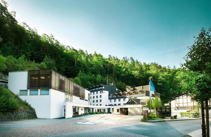 Hôtel, avec Terrasse ainsi que Jacuzzi et Sauna dans Wirges