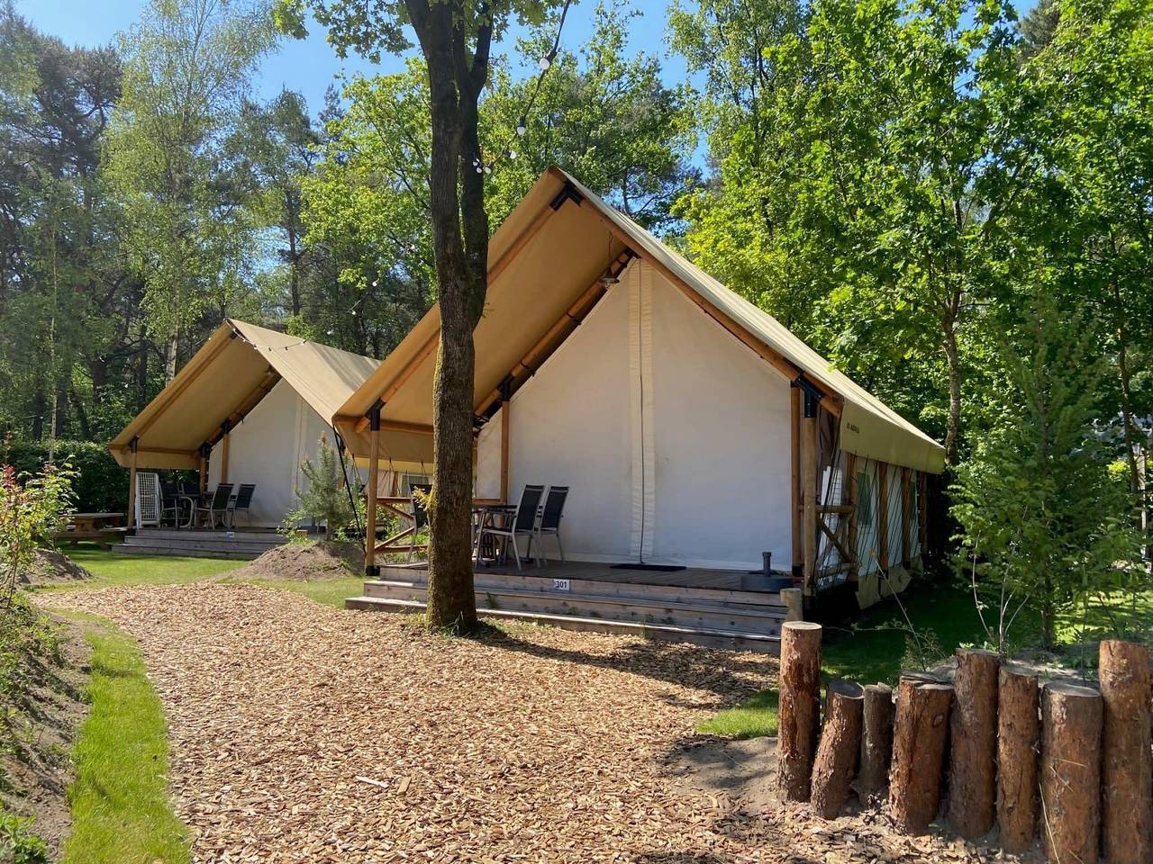 Europarcs De Wije Werelt — Glampingtent Luxe 6 in Hoge Veluwe