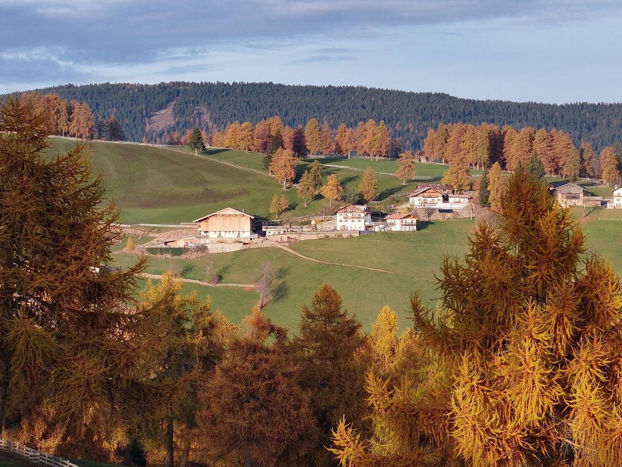 Ganze Wohnung, Oberfahrer Hof - Wohnung Haflinger in Flaas, Jenesien