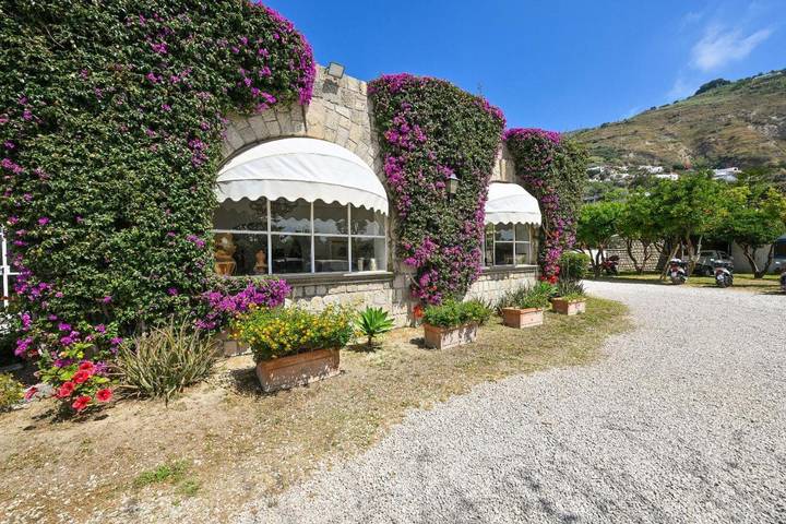 Chambre d’hôte pour 2 personnes, avec vue ainsi que jardin et piscine, animaux acceptés dans Ischia - 3