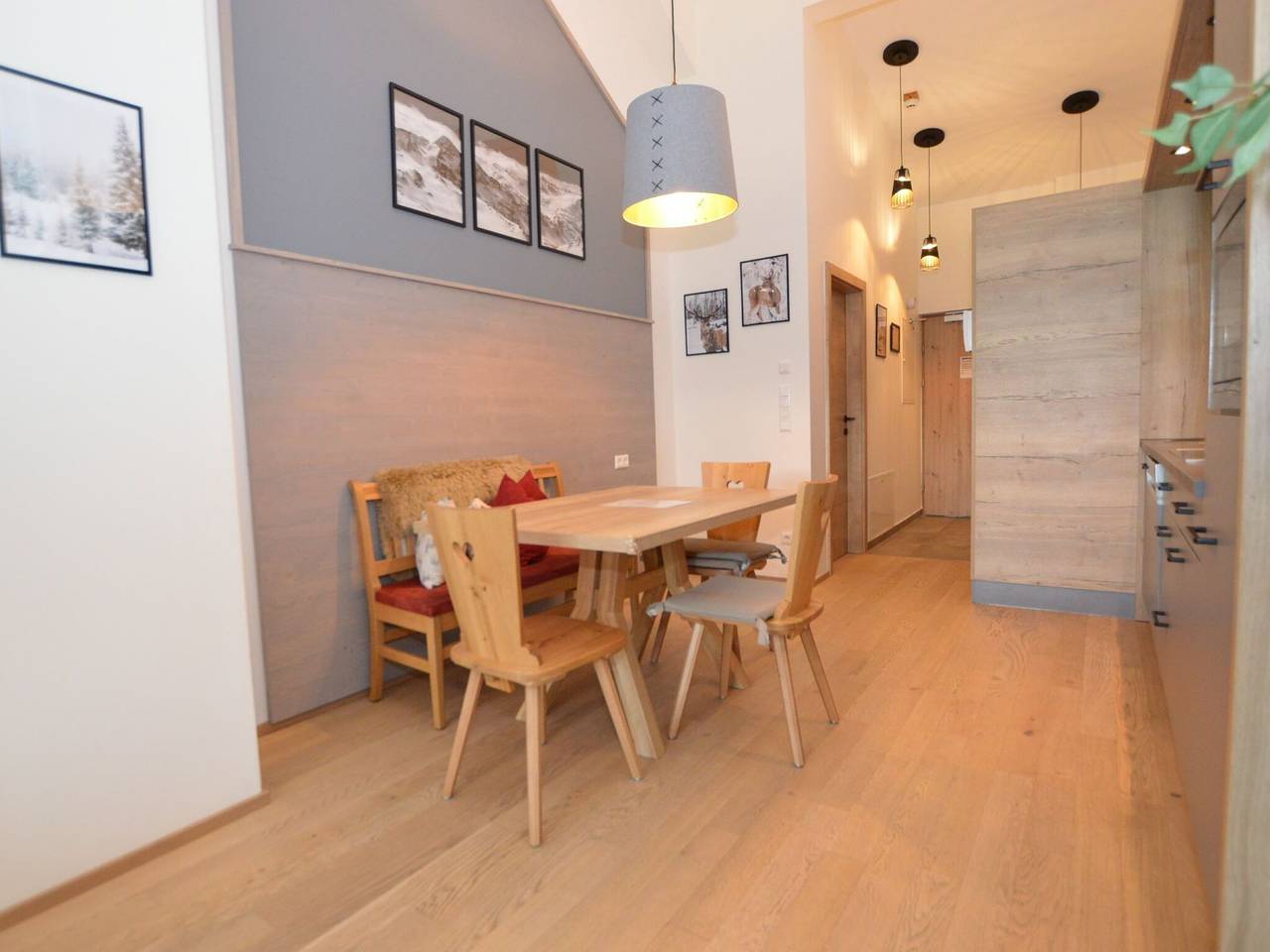 Ganze Wohnung, Appartement mit Sauna inklusive Sommerkarte in Haus, Schladming-Dachstein