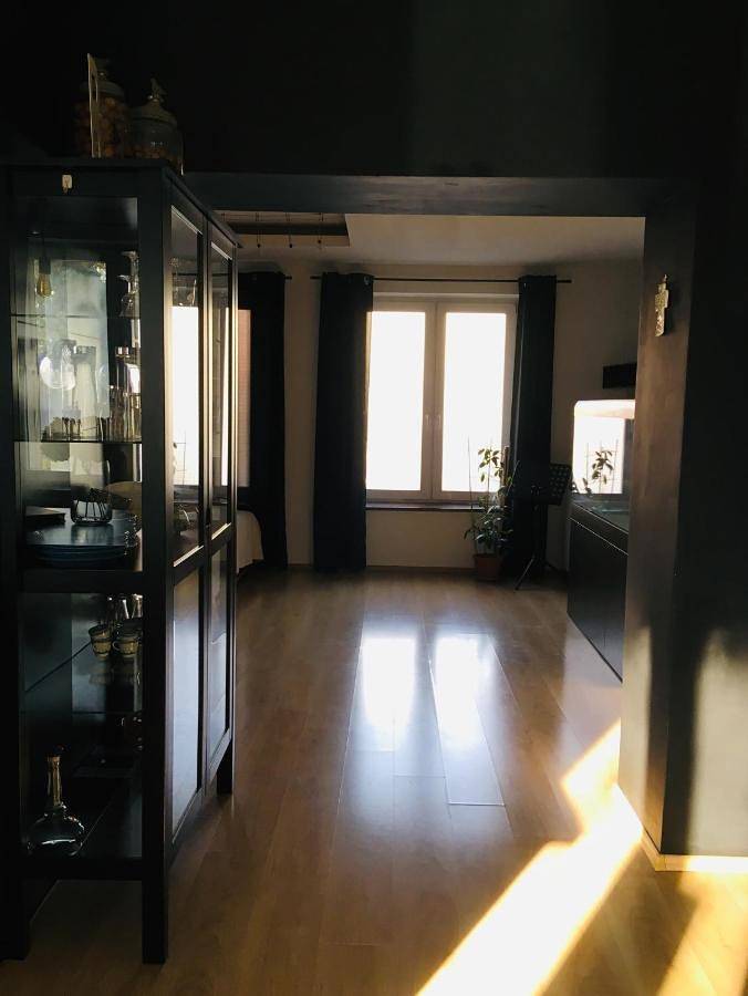 Apartament wakacyjny dla 2 osób, z Taras i Ogród oraz Widok w Zabrze