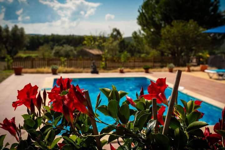 Chambre d’hôte pour 2 personnes, avec Terrasse ainsi que Jardin et Piscine
