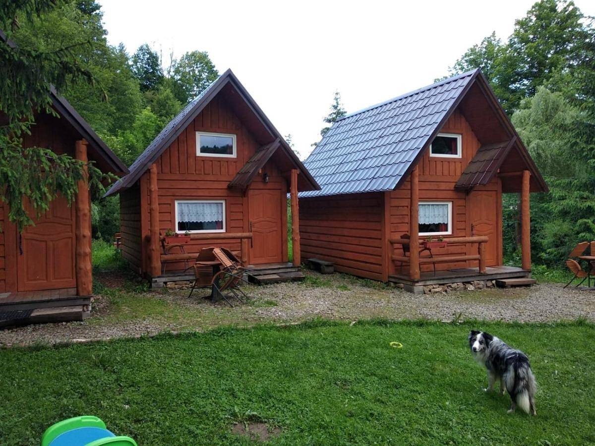 Chalet in Szlachtowa, Karpaty (Polska)