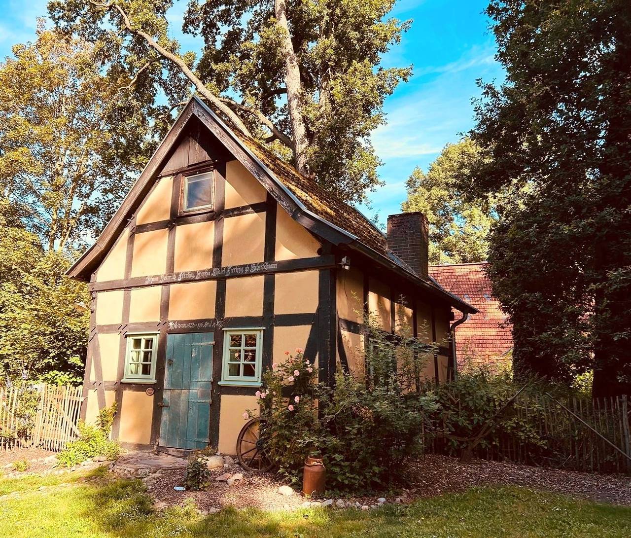 Auszeit vom Alltag in urigem Ferienhaus in idyllischer Natur im Dümmer-Weserland, Sauna & Kraniche in Landkreis Diepholz