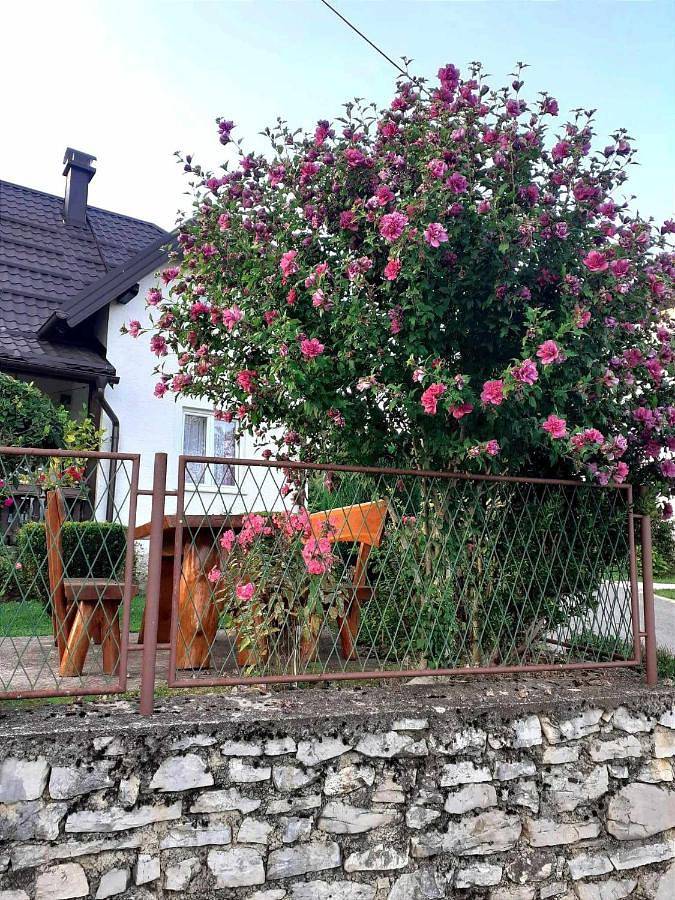 Gîte pour 2 personnes, avec jardin et terrasse dans Poljanak - 4