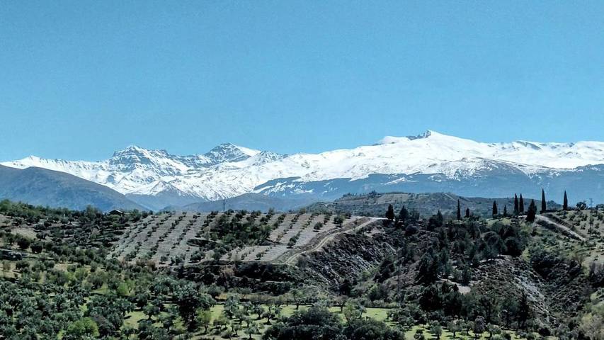 Chalet para 12 personas, con piscina además de jardín y vistas en Vega de Granada - 4