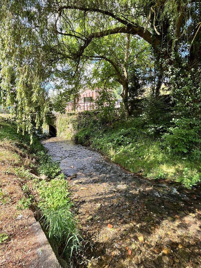 Location de vacances pour 4 personnes, animaux acceptés à Trooz - 2