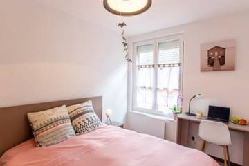 Holiday Rental for 8 People in Colmar, Colmar region, Photo 2