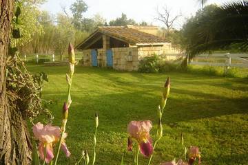 Gîte pour 4 Personnes dans Arles, Parc naturel régional de Camargue, Photo 2