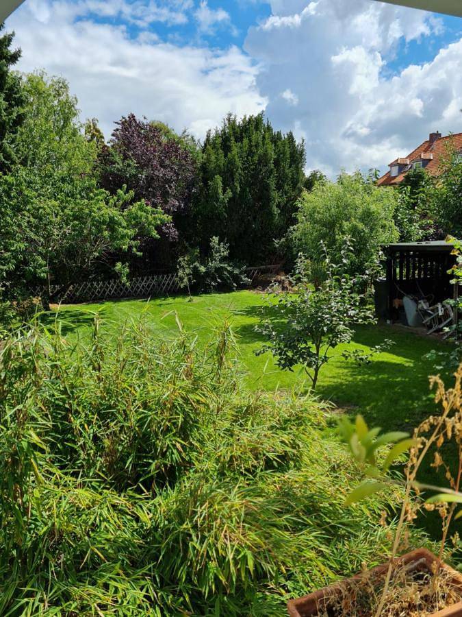 Ferienhaus für 4 Personen, mit Terrasse und Garten sowie Ausblick in Gifhorn - 2