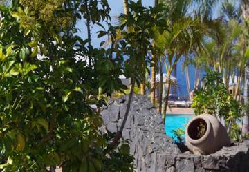 Apartahotel para 2 Personas en Los Realejos, Valle de la Orotava, Foto 3